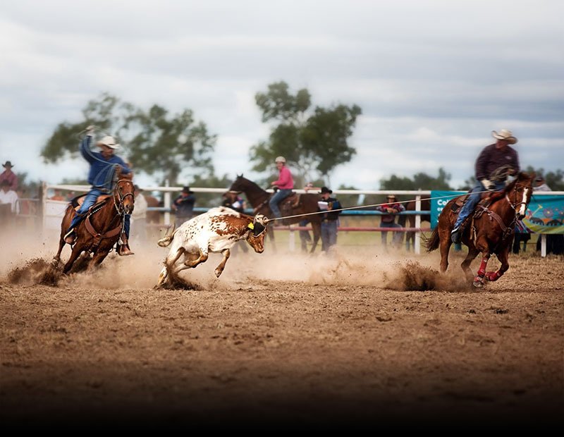 A thrilling Wickenburg, Arizona rodeo, featuring skilled ropers capturing a bull in intense Western action.